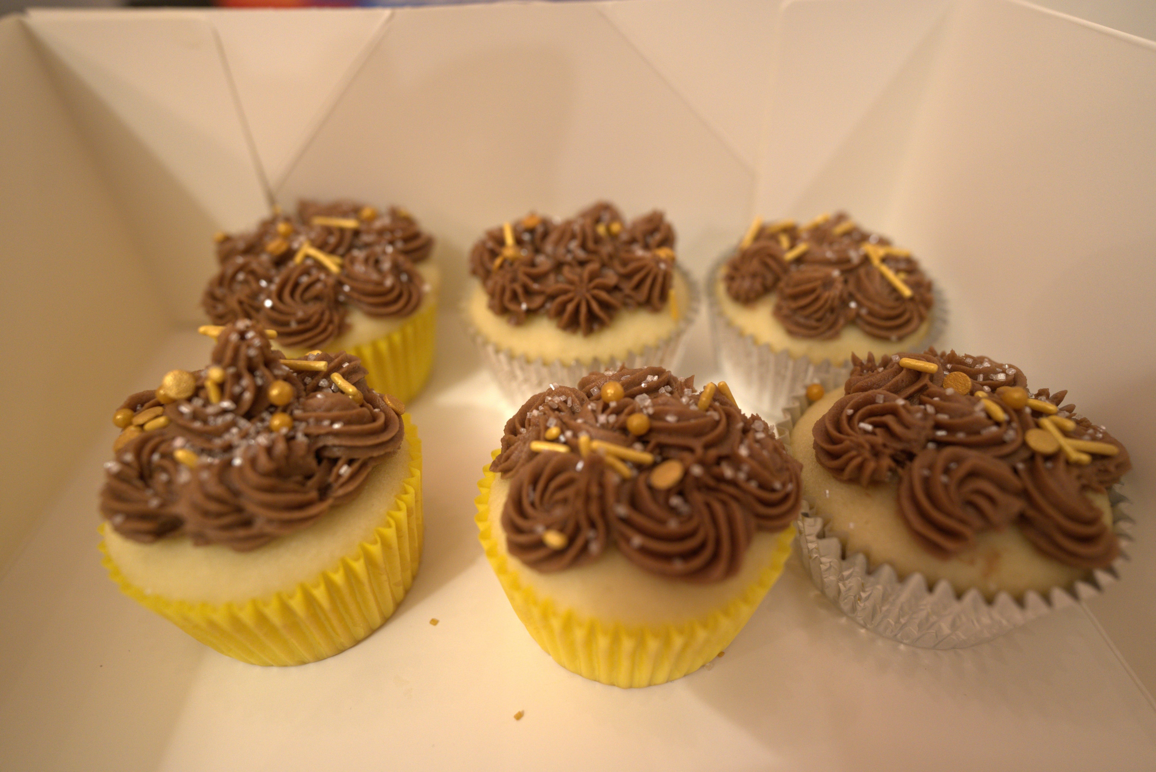 Vanilla Cupcakes (24)