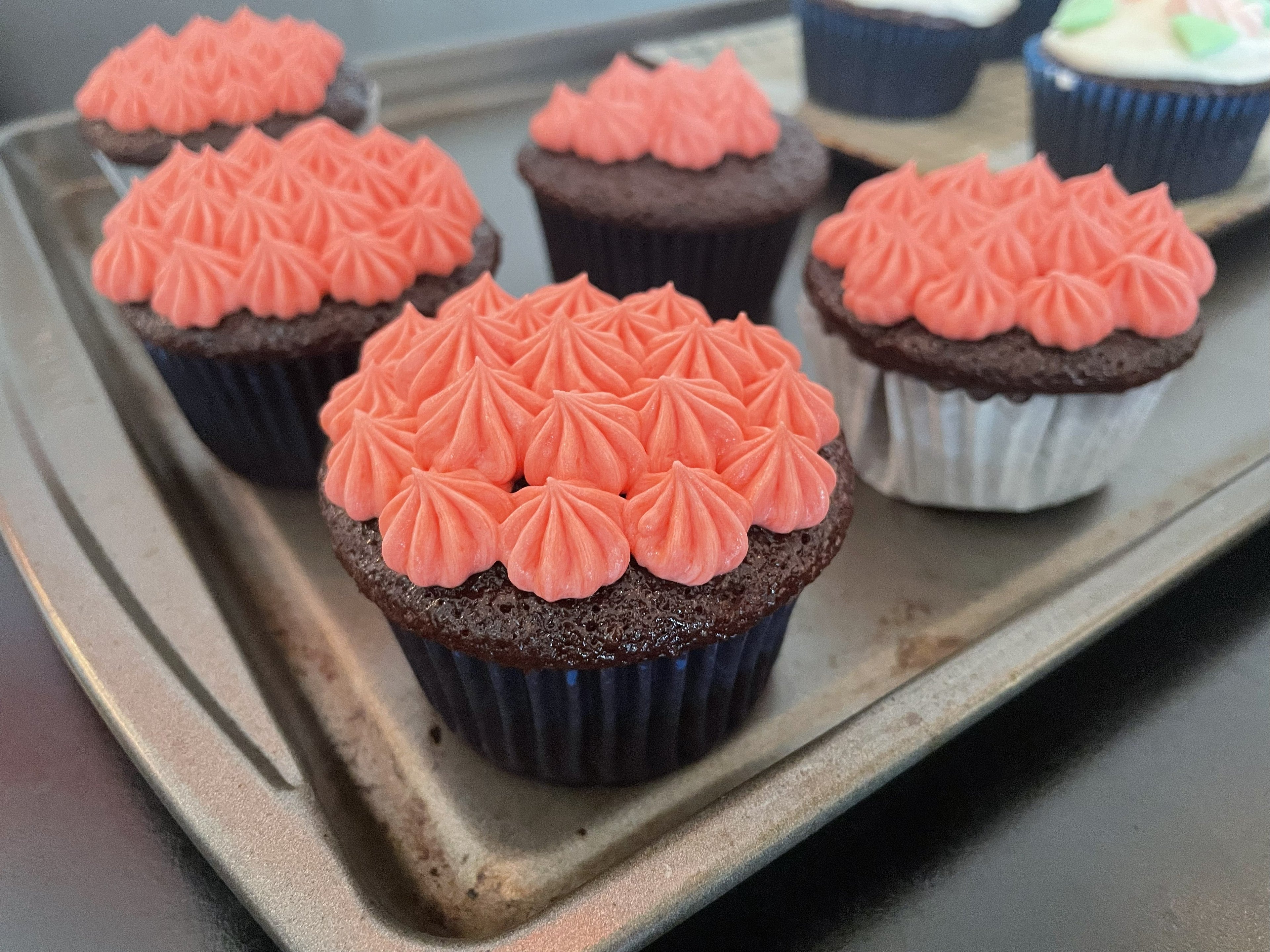 Chocolate Cupcakes (24)