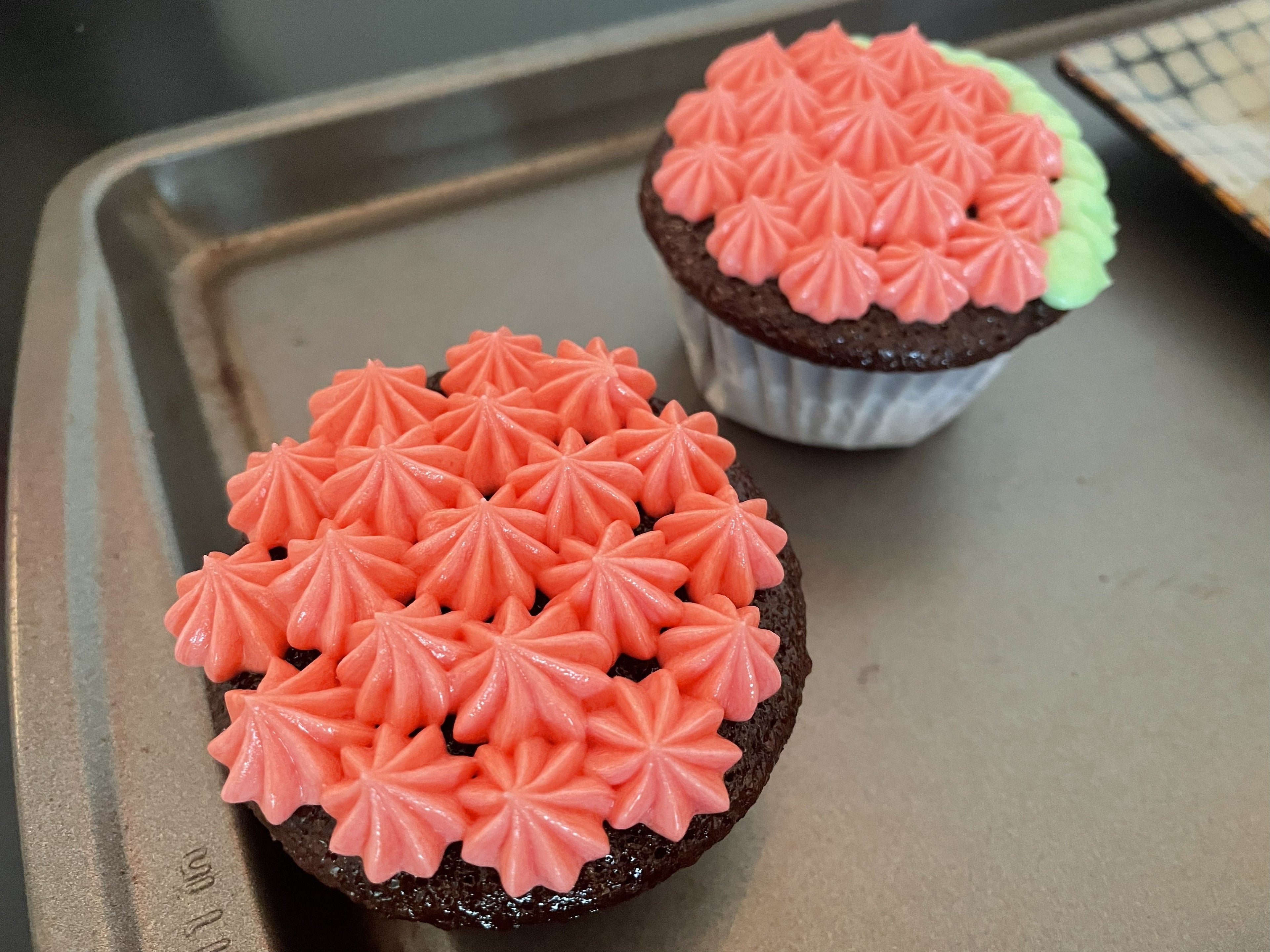 Chocolate Cupcakes (24)