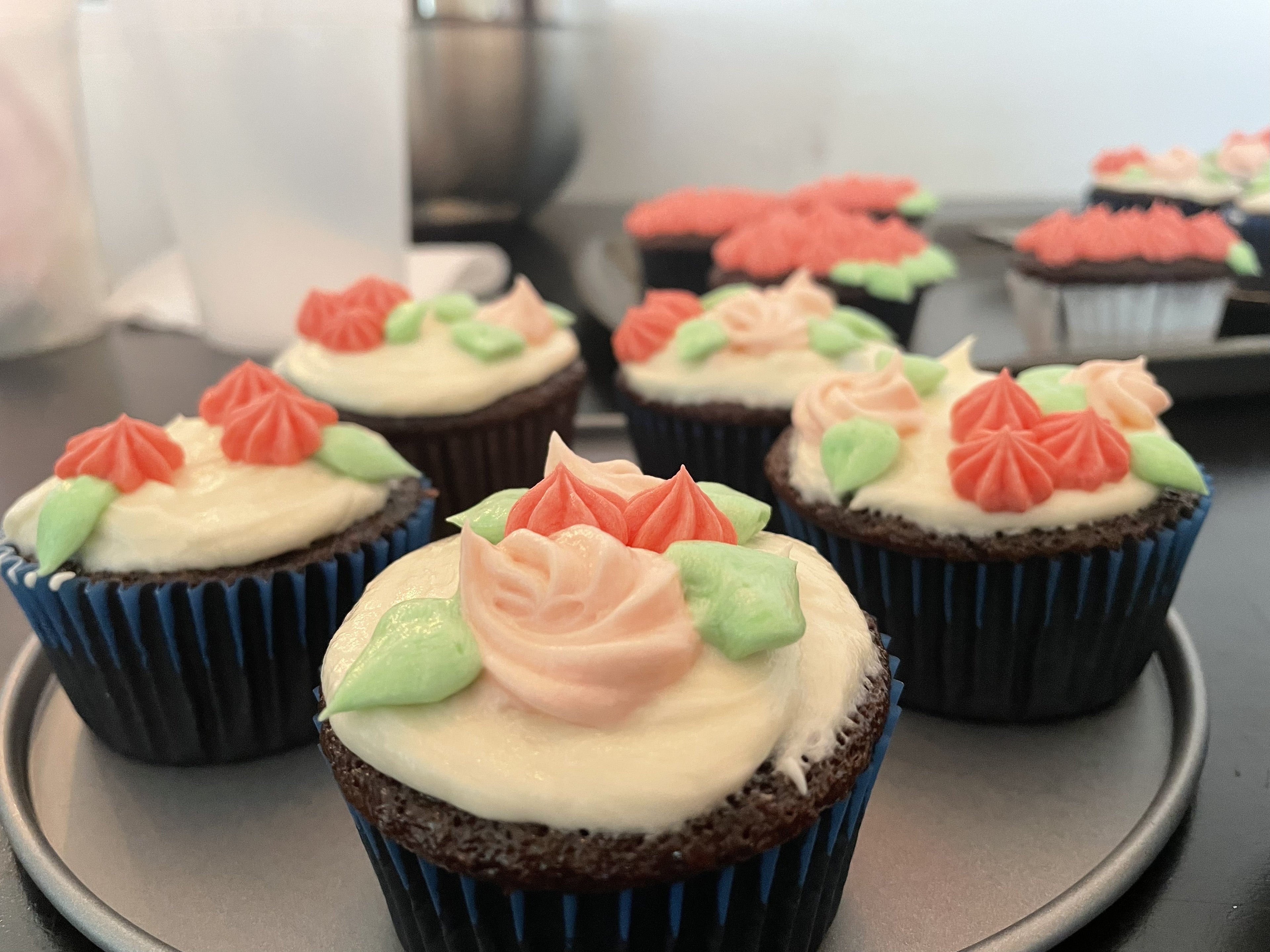 Chocolate Cupcakes (24)