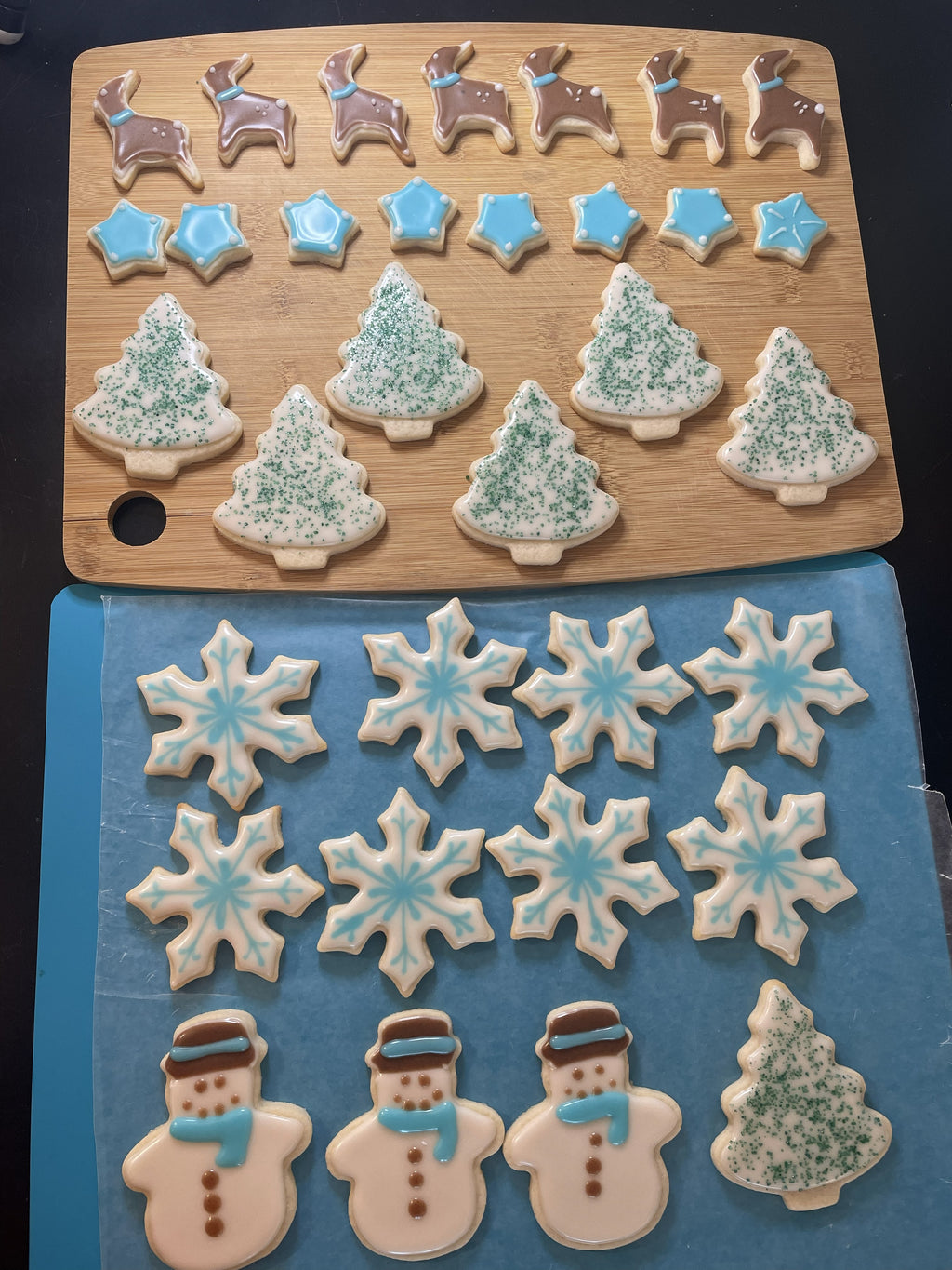 Customized Iced Sugar Cookies (1)