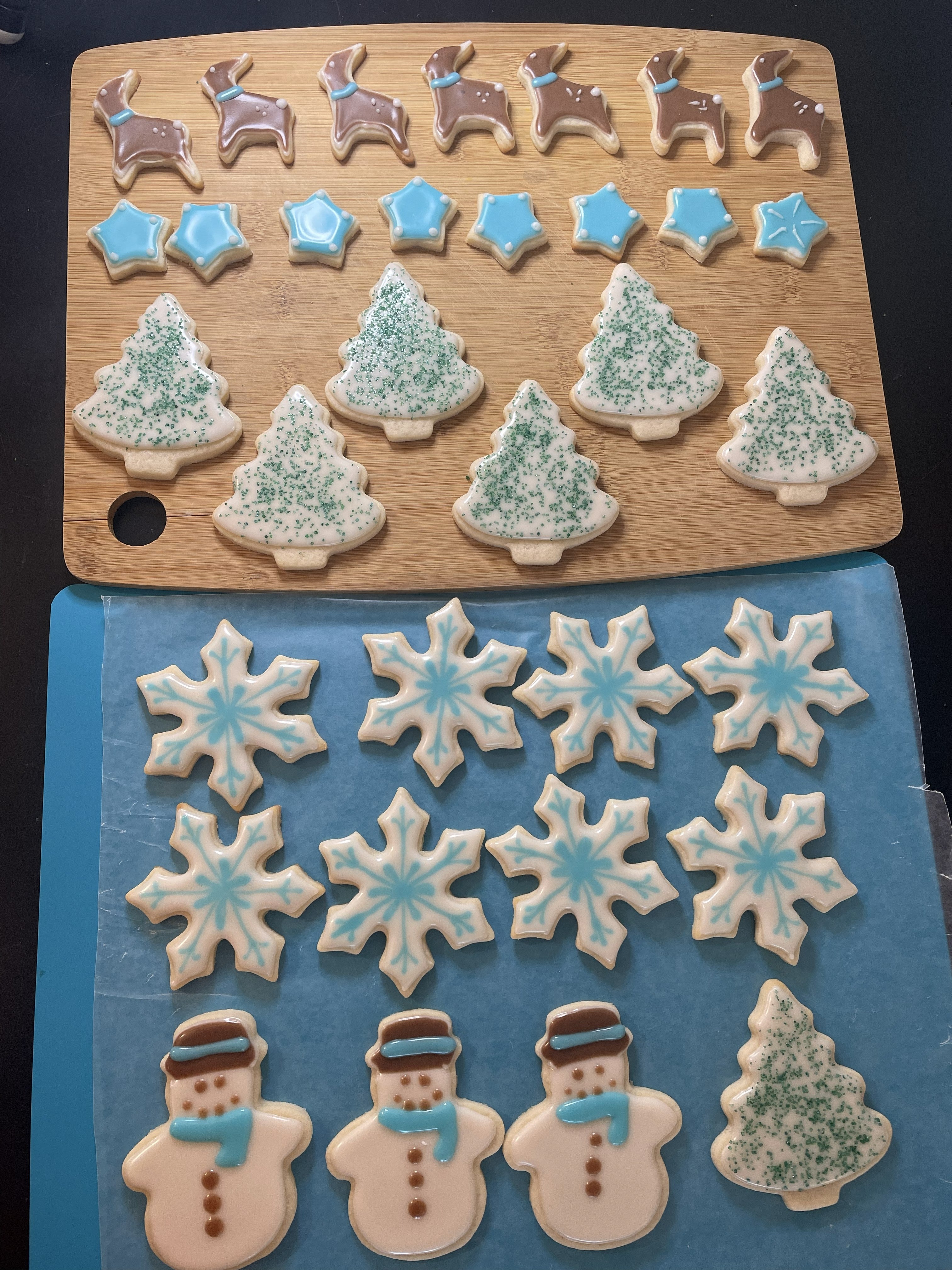 Customized Iced Sugar Cookies (1)