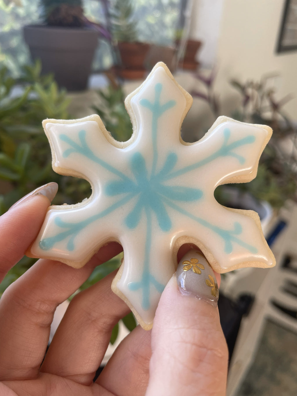 Customized Iced Sugar Cookies (1)