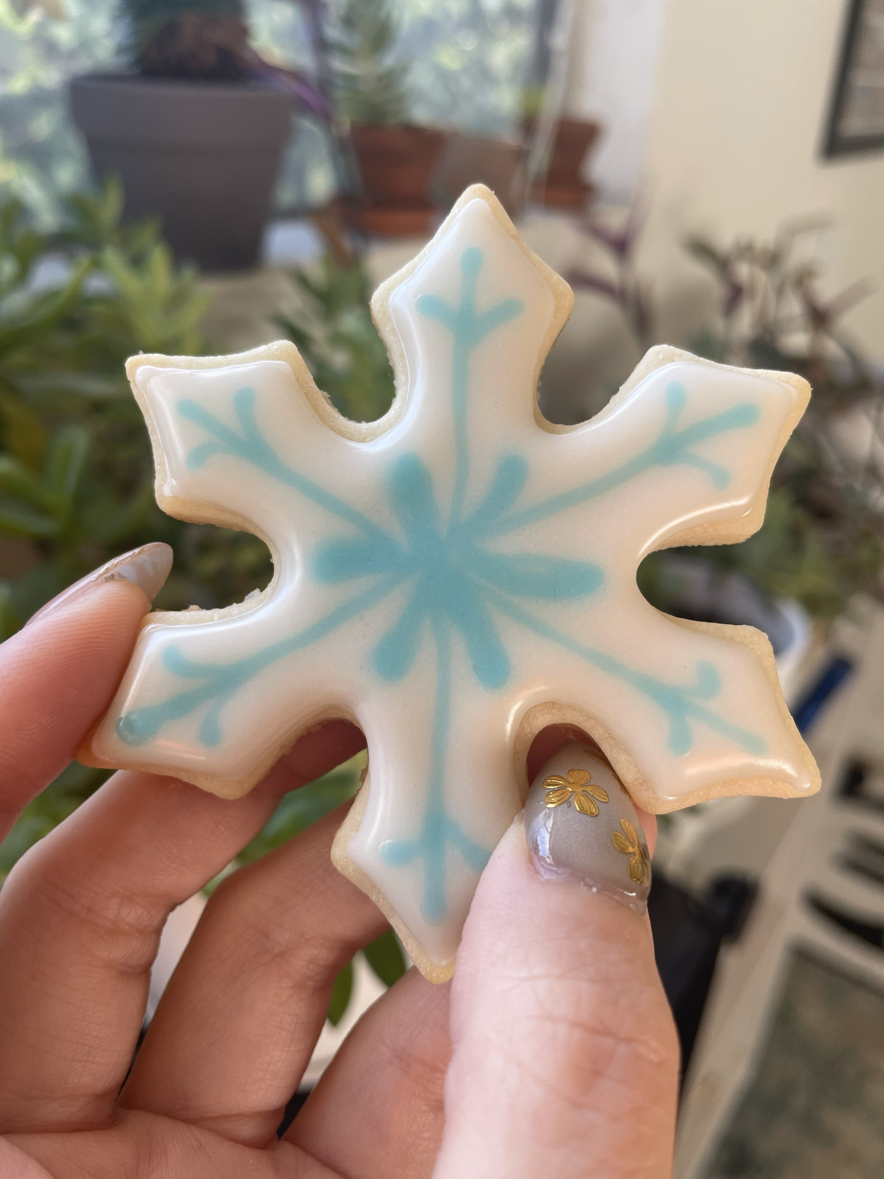 Customized Iced Sugar Cookies (1)