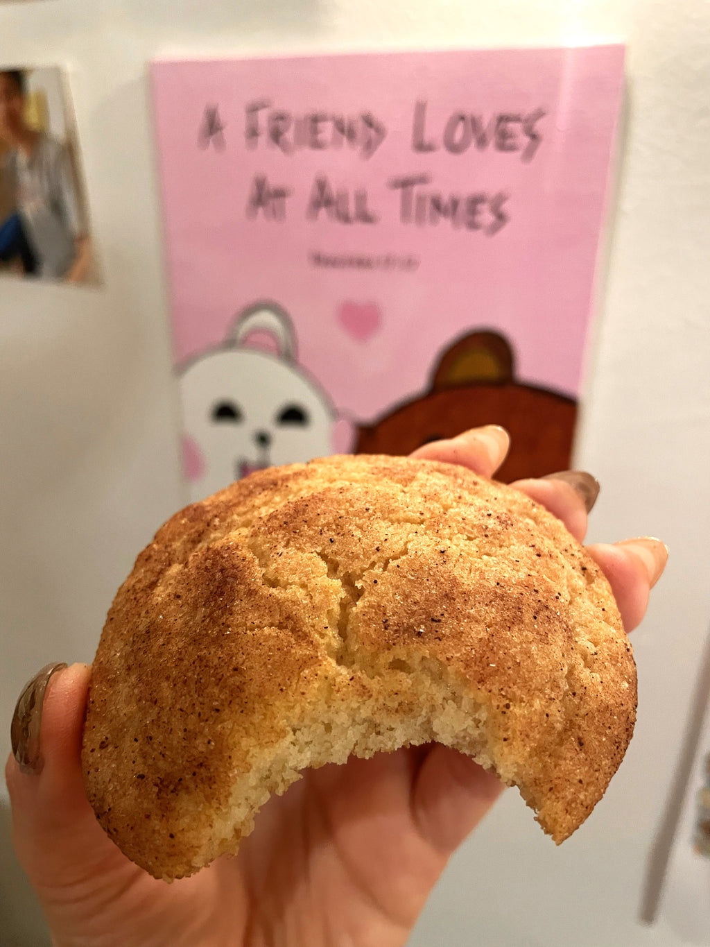 Snickerdoodle Cookies (25 - 35)